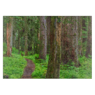 Planche À Découper Paysage de forêt ancienne
