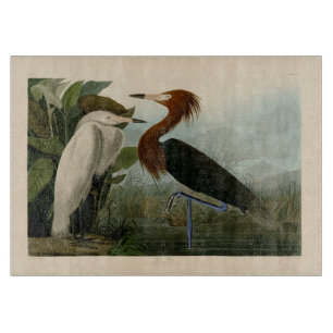 Planche À Découper Peinture de la faune d'Audubon Heron violet