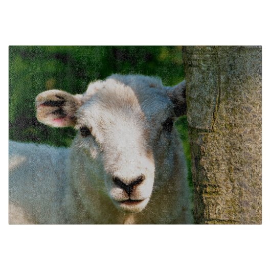 PLANCHE À DÉCOUPER PETIT MOQUETTE (Devant)