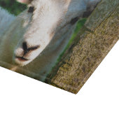 PLANCHE À DÉCOUPER PETIT MOQUETTE (Coin)