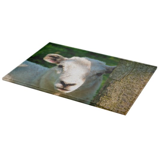 PLANCHE À DÉCOUPER PETIT MOQUETTE (Coin)