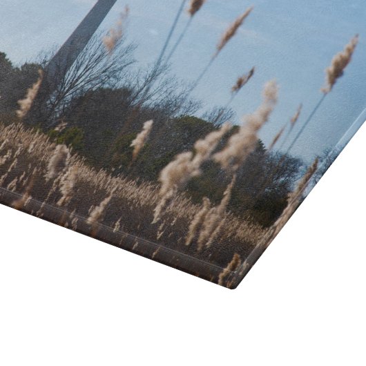 Planche À Découper Phare du Cap May (Coin)