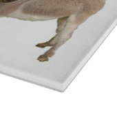 Planche À Découper Photo de Burro à Donkey Cute (Coin)