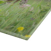 Planche À Découper Photographie Coyote Brown, sur un terrain (Coin)