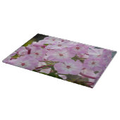 Planche À Découper Photographie de Phlox, Fleur rose (Coin)