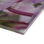 Planche À Découper Photographie de Phlox, Fleur rose (Coin)