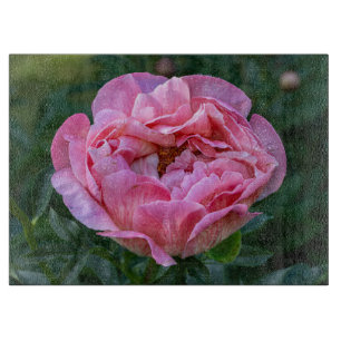Planche À Découper Photographie de pivoine, fleur rose