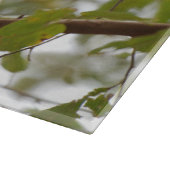 Planche À Découper Photographie de singe, Capucin à visage blanc (Coin)