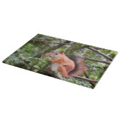 Planche À Découper Photographie d'écureuil (Coin)