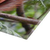 Planche À Découper Photographie d'écureuil (Coin)