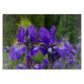 Planche À Découper Photographie florale d'Iris sibirica (Devant)