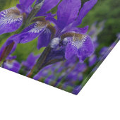 Planche À Découper Photographie florale d'Iris sibirica (Coin)