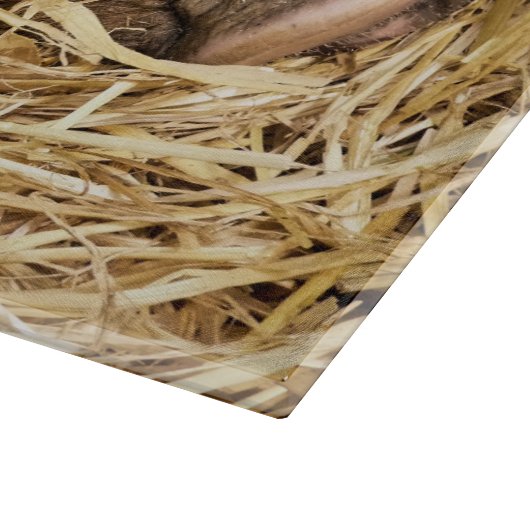 PLANCHE À DÉCOUPER PIÈCES (Coin)