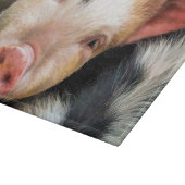 PLANCHE À DÉCOUPER PIÈCES (Coin)