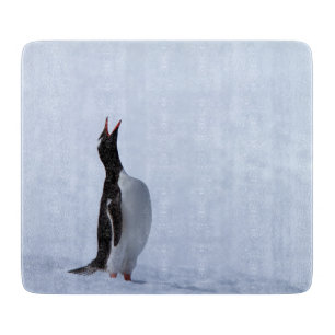 Planche À Découper Pingouin Gentoo