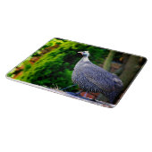 Planche À Découper Pintade casquée bleue se tenant au soleil (Coin)