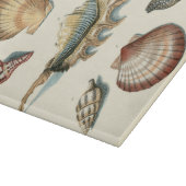Planche À Découper Plage de Shell soignée (Coin)