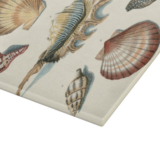 Planche À Découper Plage de Shell soignée (Coin)