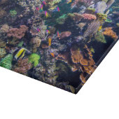 Planche À Découper Plages tropicales | Corail sous-marin Reef (Coin)