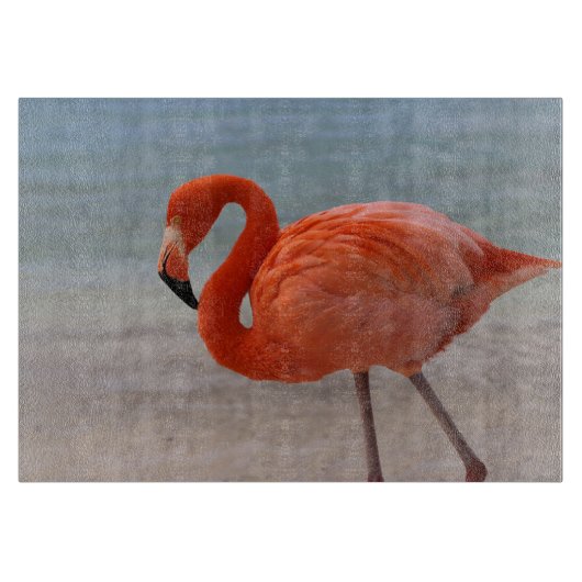 Planche À Découper Plages tropicales | Flamant rose des Caraïbes, Aru (Devant)