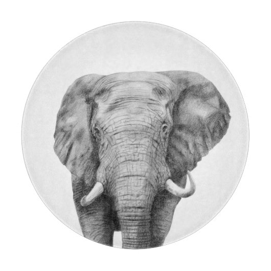 Planche À Découper Plan de sauvegarde IV (Devant)