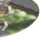 Planche À Découper Planche de coupe d'écureuil (Coin)