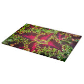 Planche À Découper Plante Coleus rouge et vert (Coin)