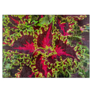 Planche À Découper Plante Coleus rouge et vert
