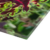 Planche À Découper Plante Coleus rouge et vert (Coin)