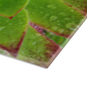 Planche À Découper Plante Lover Aeonium Magie (Coin)