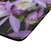 Planche À Découper Pleione Windowsill Orchidées Floral (Coin)