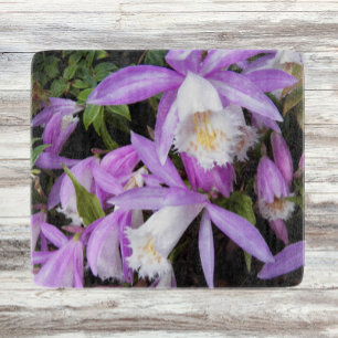 Planche À Découper Pleione Windowsill Orchidées Floral