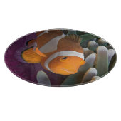 Planche À Découper Poisson clown occidental (Coin)