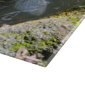 Planche À Découper Poisson Koi dans un étang (Coin)