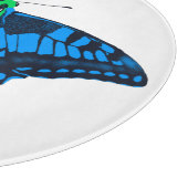 Planche À Découper Polysexual Pride Flag Swallowtail Butterfly (Coin)