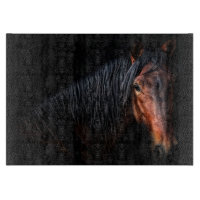 Portrait de cheval VII