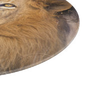 Planche À Découper Portrait d'un Lion regardant au loin (Coin)