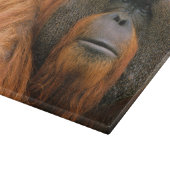 Planche À Découper Portrait of Orang-utang Male, Georgia, USA (Coin)