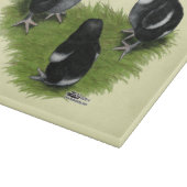 Planche À Découper Poussins Marans Noir Cuivré (Coin)