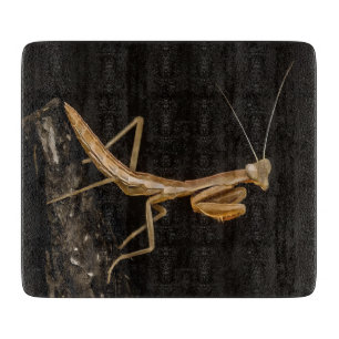 Planche À Découper Prière Mantis Belle Et Déplaisante Insecte Art