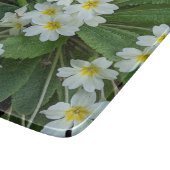 Planche À Découper Primroses blanches aux centres jaunes Floral (Coin)