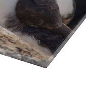 Planche À Découper Puffins (Coin)