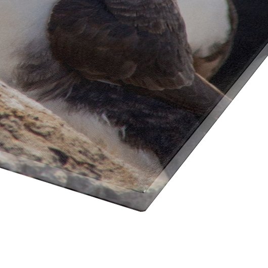 Planche À Découper Puffins (Coin)