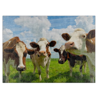 Planche À Découper Quatre vaches de causerie