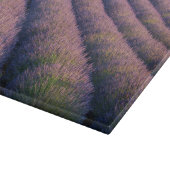 Planche À Découper Rangées de lavande en Provence (Coin)