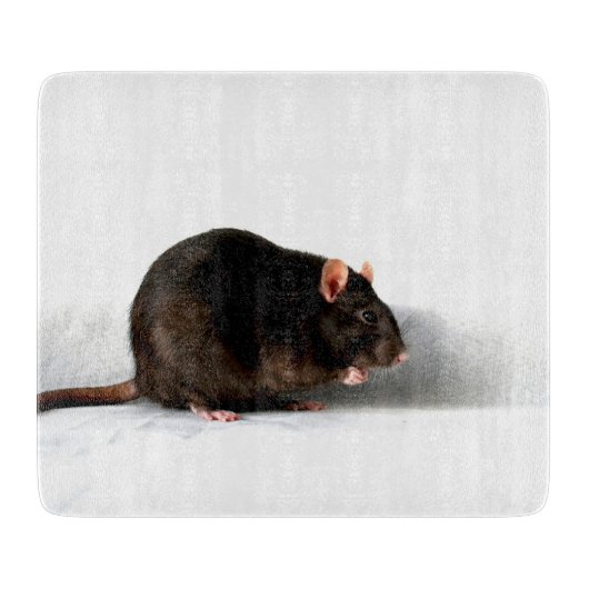 Planche À Découper Rat cbcna (Devant)