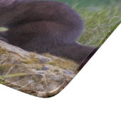 Planche à découper rectangulaire en vison d'Amériq (Coin)