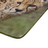 Planche à découper rectangulaire Guépard (Coin)
