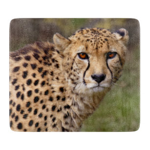 Planche à découper rectangulaire Guépard