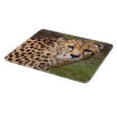 Planche à découper rectangulaire Guépard (Coin)